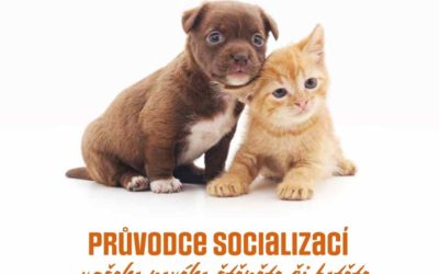 Průvodce socializací Vašeho nového štěněte nebo kotěte